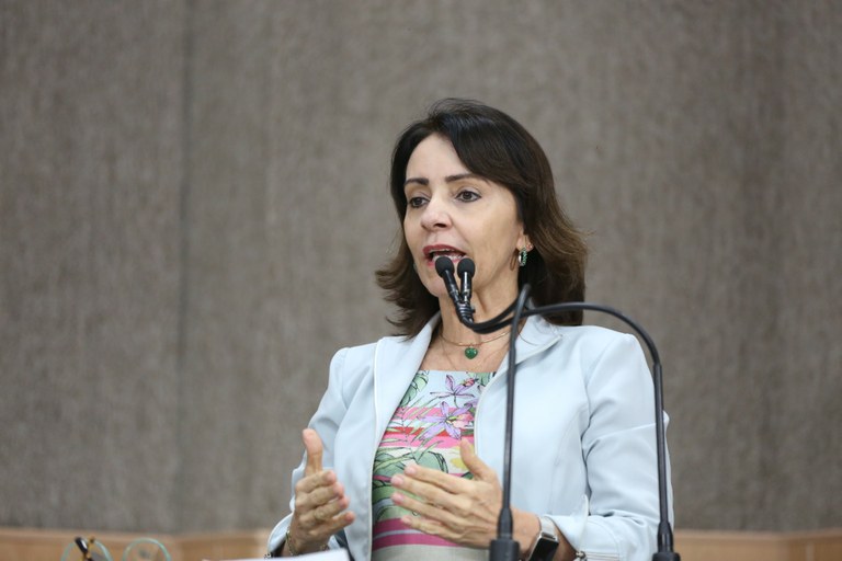 ”Desemprego poderia ser menor se gestores tivessem iniciativa”, afirma Emília