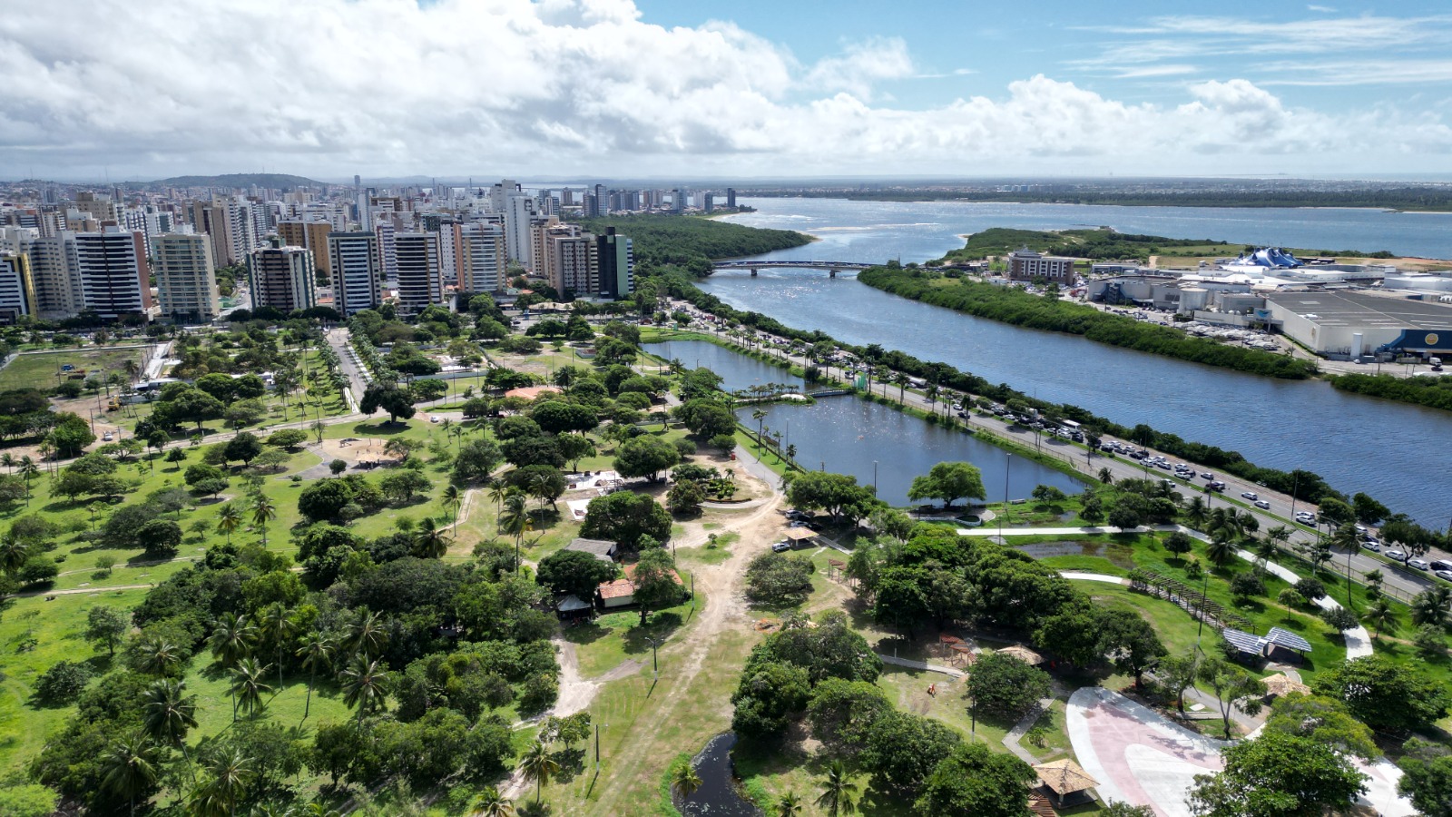 Dia de Proteção às Florestas: Uma Chamada Urgente para a Conservação Ambiental 