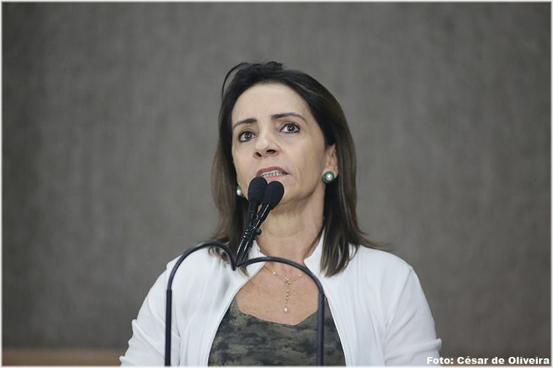 Emília: “A insegurança jurídica traz prejuízos inimagináveis para Brasil”