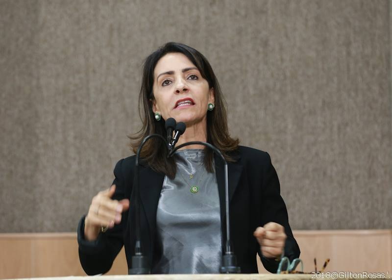 Emília Corrêa: "No Dia do Comerciante, empresários não têm o que comemorar"