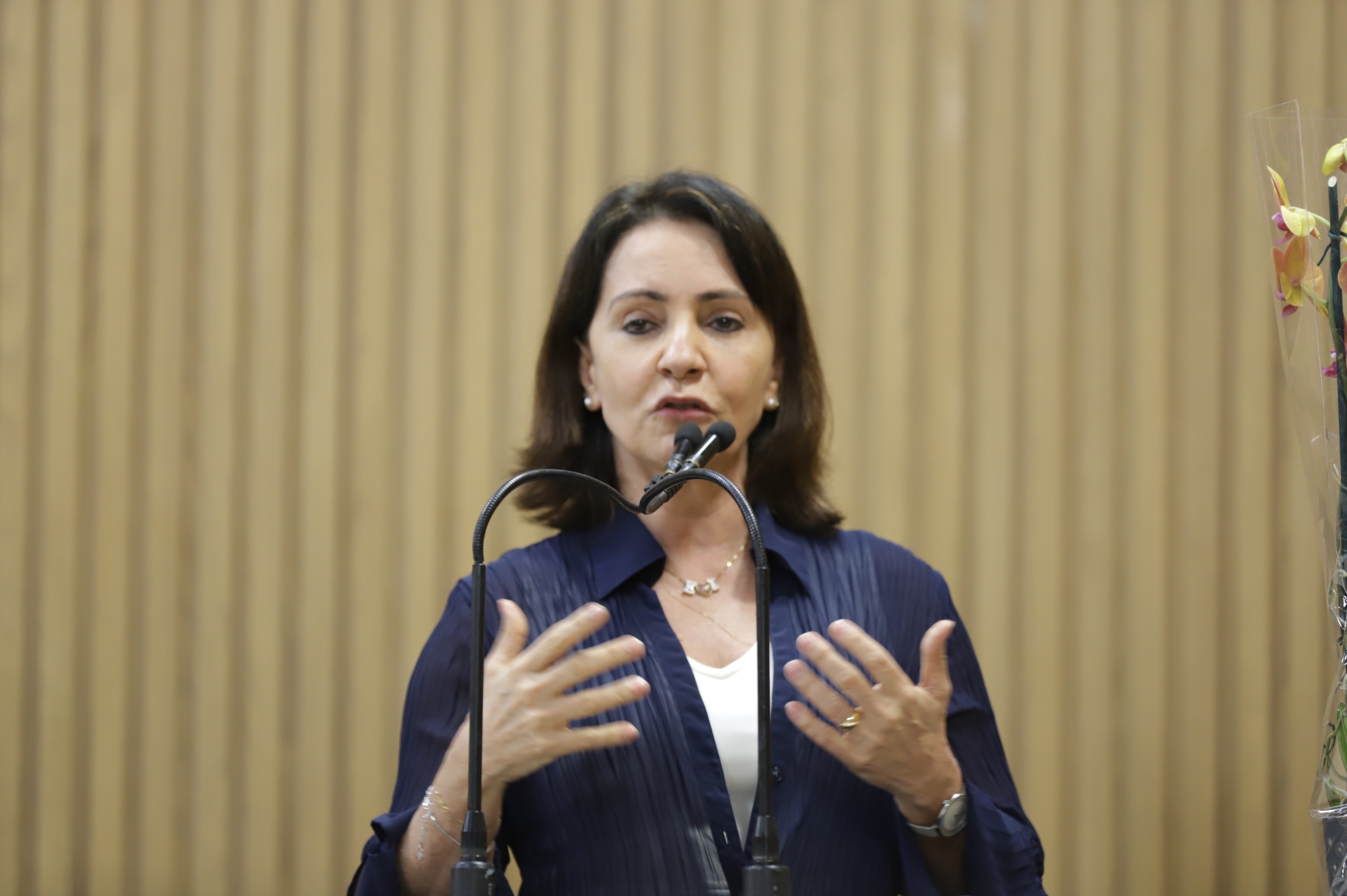 Emília Corrêa: Quantidade de CC’s da PMA é flagrantemente absurdo