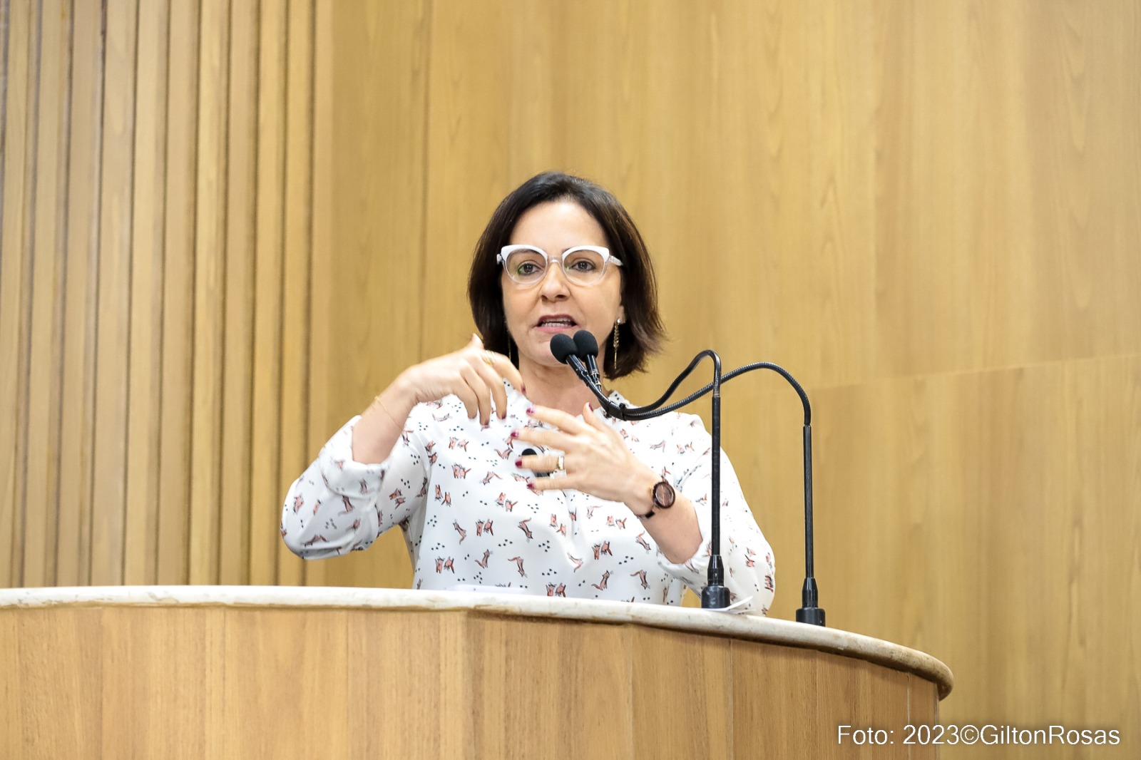 Emília critica quantidade de PSS realizado pela PMA