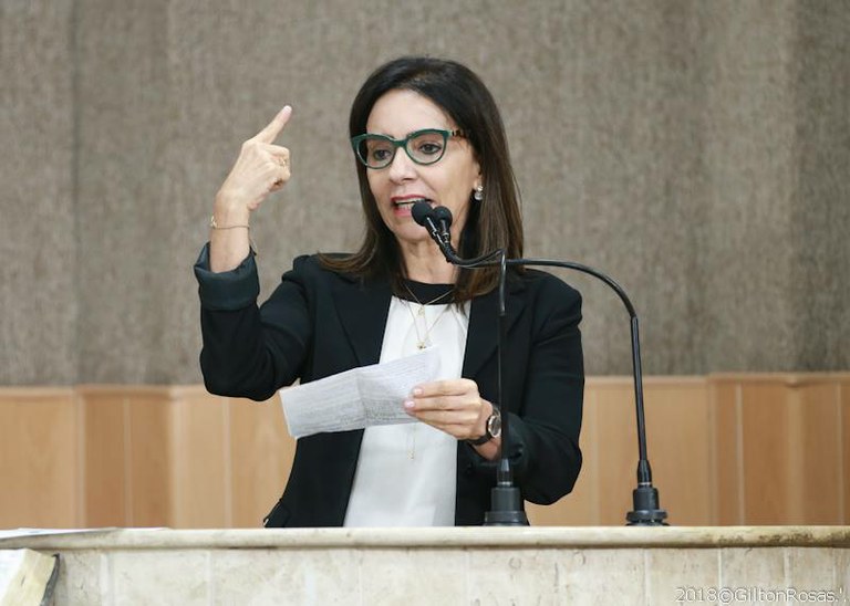 "Mulheres podem definir a corrida eleitoral", diz Emília